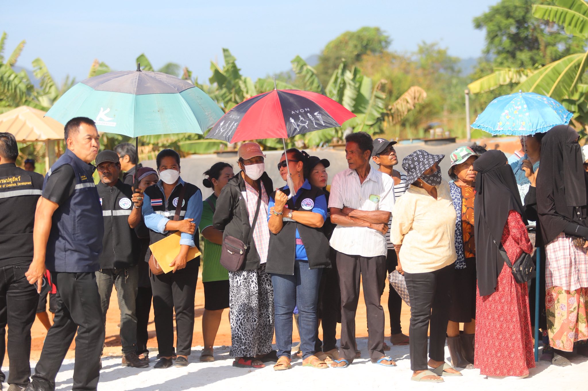 title - ข่าวดีชาวกระบี่ รมช.เกษตรฯ ลงพื้นที่ติดตามโปรเจกต์ยักษ์ ส.ป.ก. เร่งพัฒนาโครงสร้างพื้นฐานแปลงพื้นที่เป้าหมาย คทช. ในเขตปฏิรูปที่ดิน กว่า 4,300 ไร่ มุ่งสร้างอาชีพอย่างยั่งยืน